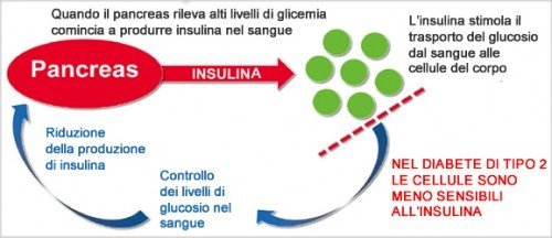 Sistema Di Controllo Della Glicemia Una Vita Su Misura