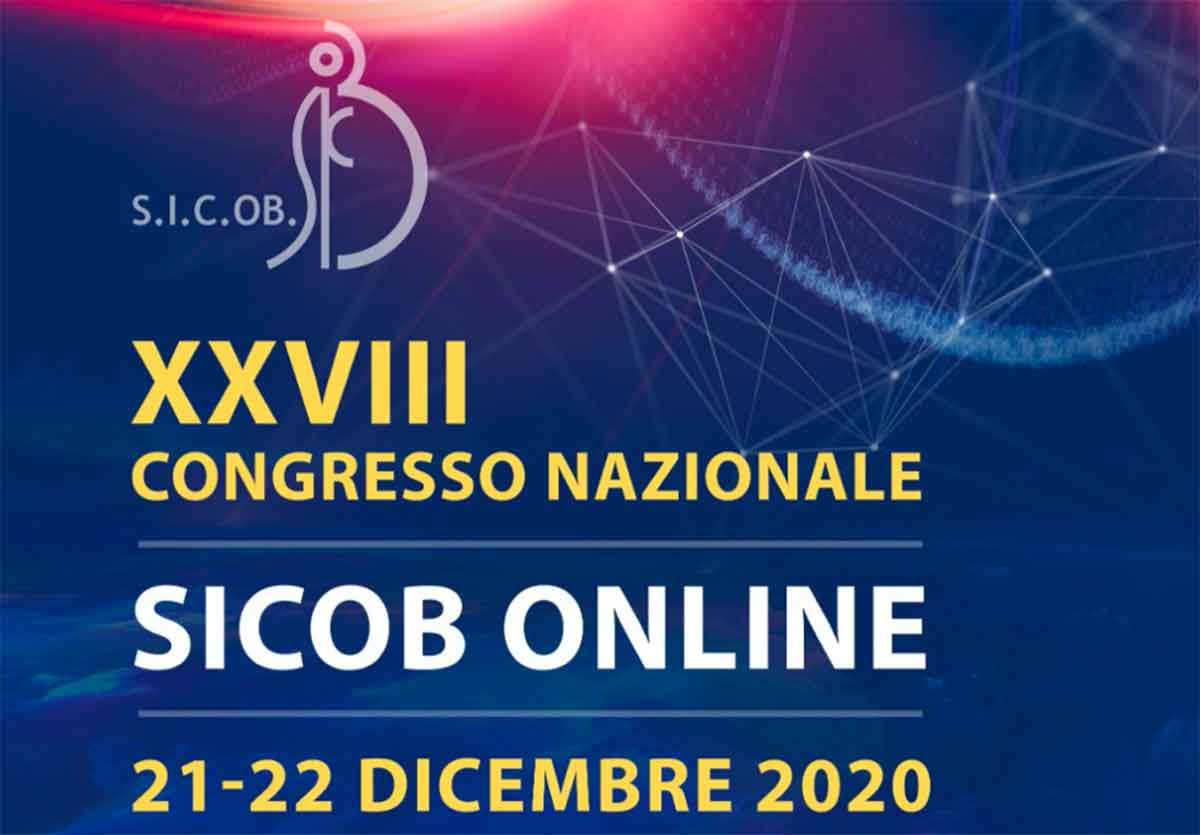 XXVIII Congresso SICOB